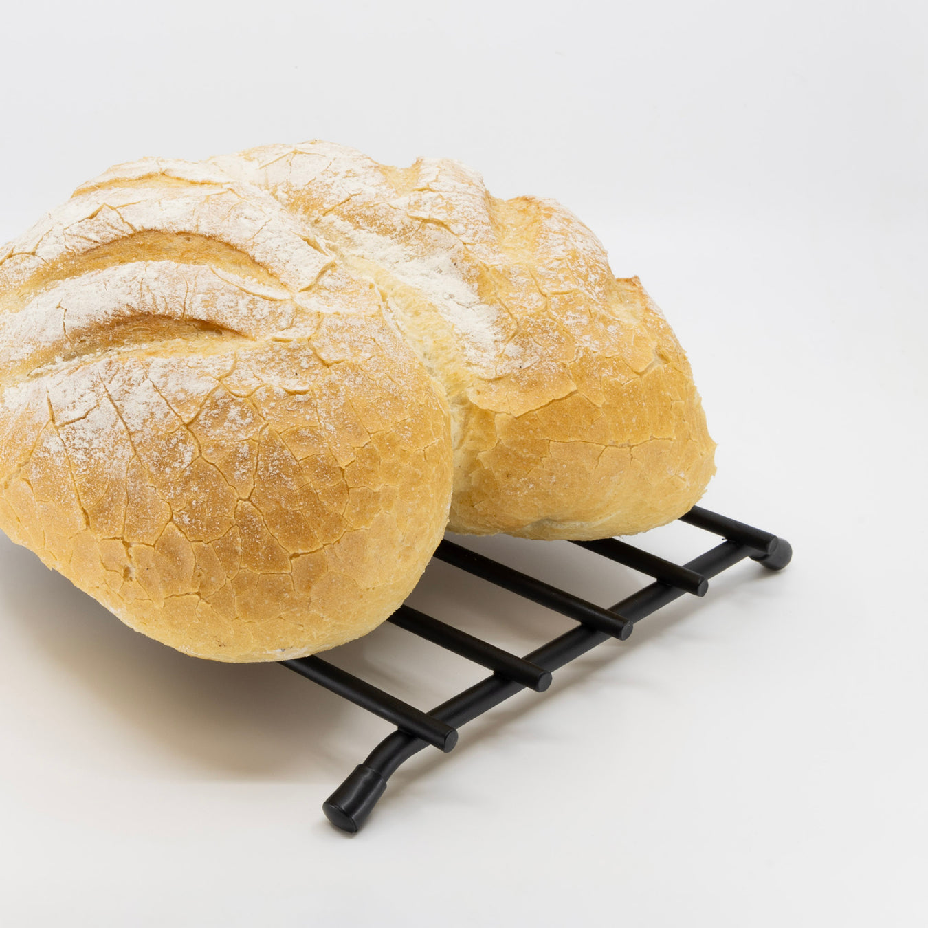 Leeuwbrood